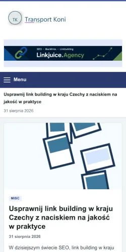 Podgląd witryny Transport Koni, ujętej jako miejsce publikacji artykułów sponsorowanych
