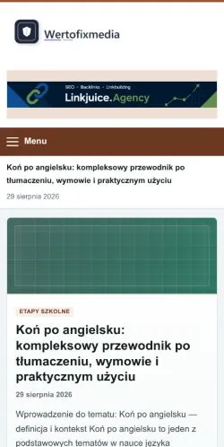 スポンサード記事の掲載先として登録されたWertofix Mediaのサイトプレビュー