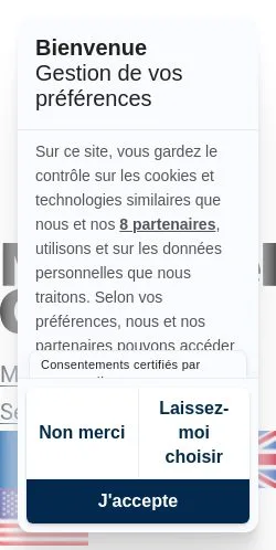 Aperçu du site The Media Leader, référencé pour publier un article sponsorisé