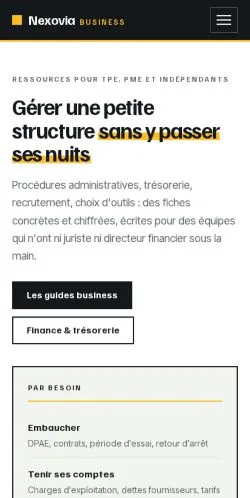 Anteprima del sito Nexovia Business, referenziato per la pubblicazione di articoli sponsorizzati