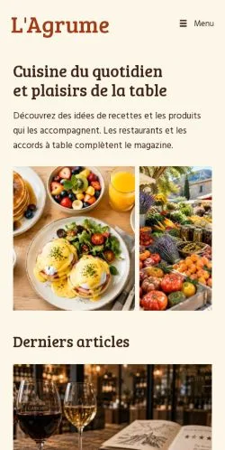 Aperçu du site L'Agrume Magazine, référencé pour publier un article sponsorisé