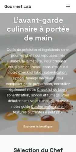 Vista previa del sitio Gourmet Lab, referenciado para publicar artículos patrocinados