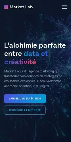 Preview of the Market Lab website, listed for sponsored article publication