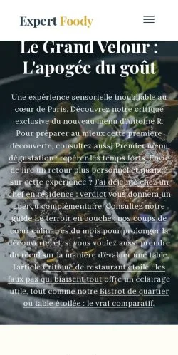 Preview of the Expert Foody website, listed for sponsored article publication