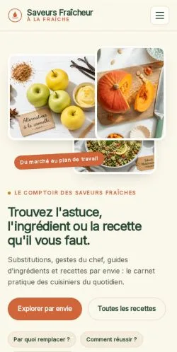 スポンサード記事の掲載先として登録されたSaveurs Fraîcheurのサイトプレビュー