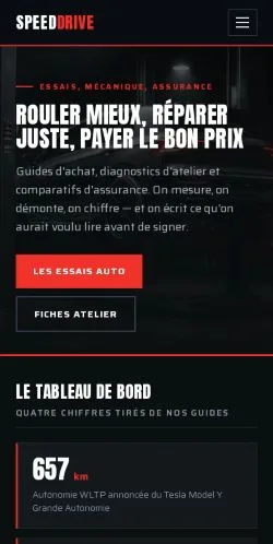 Voorbeeld van de website SpeedDrive, vermeld voor de publicatie van gesponsorde artikelen
