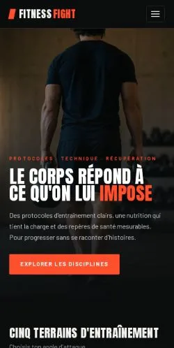 Förhandsvisning av webbplatsen Fitness Fight Dojo, listad för publicering av sponsrade artiklar