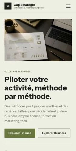 스폰서 기사 게재 매체로 등록된 Cap Stratégie 사이트 미리보기