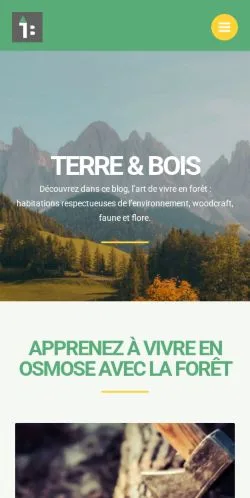 스폰서 기사 게재 매체로 등록된 Terre-Bois 사이트 미리보기