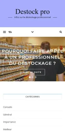 スポンサード記事の掲載先として登録されたDestock Proのサイトプレビュー