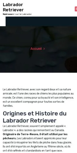 Aperçu du site Labrador Retriever Guide, référencé pour publier un article sponsorisé