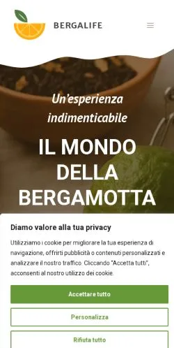 Preview of the Bergalife website, listed for sponsored article publication