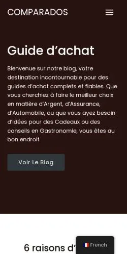 スポンサード記事の掲載先として登録されたComparados Guideのサイトプレビュー