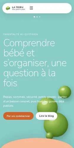 스폰서 기사 게재 매체로 등록된 La Tribu Des Petits Pois 사이트 미리보기