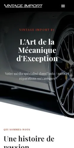 Anteprima del sito Vintage Import 87, referenziato per la pubblicazione di articoli sponsorizzati