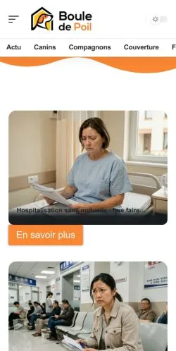 Vorschau der Website Boule De Poil, gelistet für die Veröffentlichung gesponserter Artikel