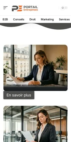 스폰서 기사 게재 매체로 등록된 Portail Entreprises 사이트 미리보기