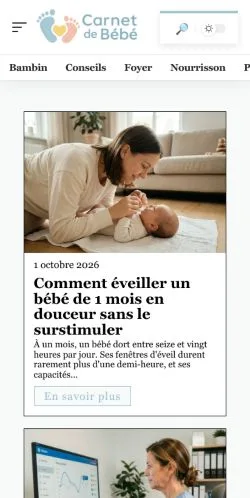 スポンサード記事の掲載先として登録されたCarnet De Bébéのサイトプレビュー