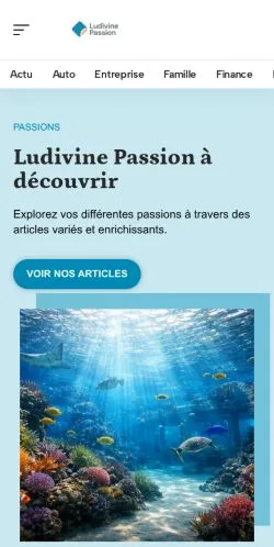 스폰서 기사 게재 매체로 등록된 Ludivine Passion 사이트 미리보기