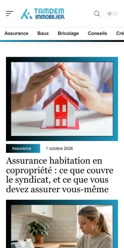 Vorschau der Website Tandem Immobilier, gelistet für die Veröffentlichung gesponserter Artikel