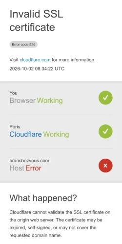 Anteprima del sito branchezvous.com, referenziato per la pubblicazione di articoli sponsorizzati