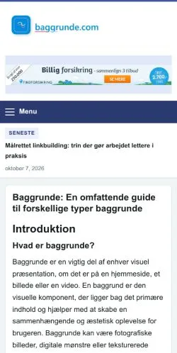스폰서 기사 게재 매체로 등록된 Baggrunde 사이트 미리보기