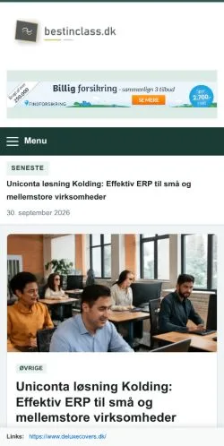 Anteprima del sito Best In Class, referenziato per la pubblicazione di articoli sponsorizzati