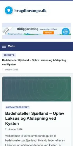 Podgląd witryny Brug Din Rampe, ujętej jako miejsce publikacji artykułów sponsorowanych