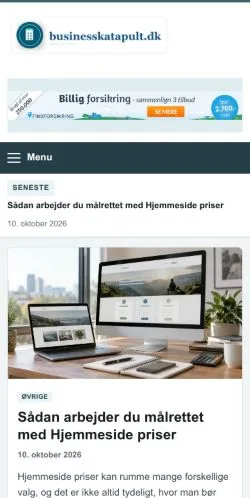 Anteprima del sito Businesskatapult, referenziato per la pubblicazione di articoli sponsorizzati
