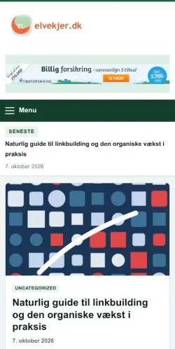 Anteprima del sito Helveg & Kjær, referenziato per la pubblicazione di articoli sponsorizzati