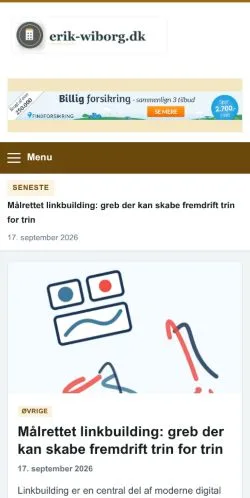 Anteprima del sito Erik Wiborg, referenziato per la pubblicazione di articoli sponsorizzati