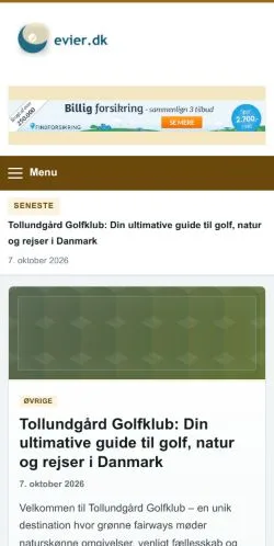 Anteprima del sito Evier, referenziato per la pubblicazione di articoli sponsorizzati