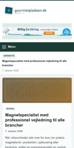 Preview of the Gourmet Pladsen website, listed for sponsored article publication