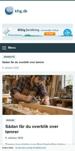 Vorschau der Website Kfsg, gelistet für die Veröffentlichung gesponserter Artikel