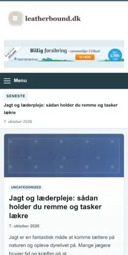 スポンサード記事の掲載先として登録されたLeatherboundのサイトプレビュー