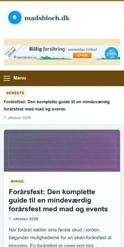 スポンサード記事の掲載先として登録されたMads Blochのサイトプレビュー