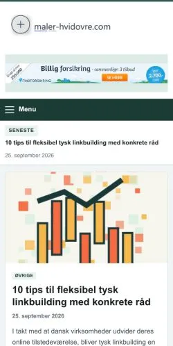 Aperçu du site Maler Hvidovre, référencé pour publier un article sponsorisé