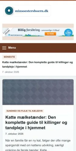 スポンサード記事の掲載先として登録されたMinsoestersboernのサイトプレビュー