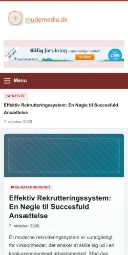 スポンサード記事の掲載先として登録されたMudemediaのサイトプレビュー