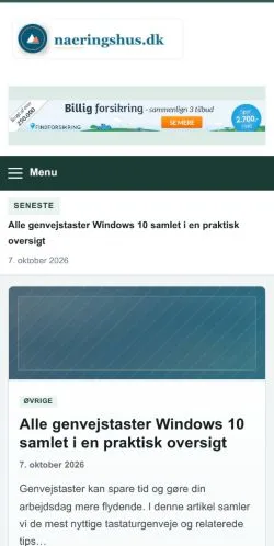 Anteprima del sito Naeringshus, referenziato per la pubblicazione di articoli sponsorizzati