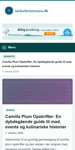 Forhåndsvisning av nettstedet Niels Christensen, oppført for publisering av sponsede artikler