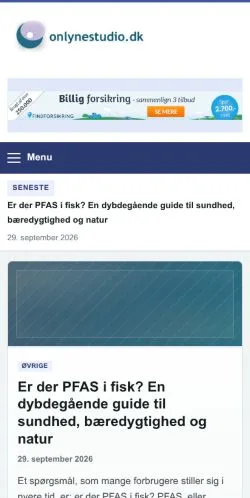 Anteprima del sito Onlynestudio, referenziato per la pubblicazione di articoli sponsorizzati