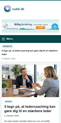 Vorschau der Website Ruddi, gelistet für die Veröffentlichung gesponserter Artikel