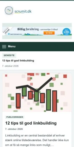 Vorschau der Website ScrumIT, gelistet für die Veröffentlichung gesponserter Artikel