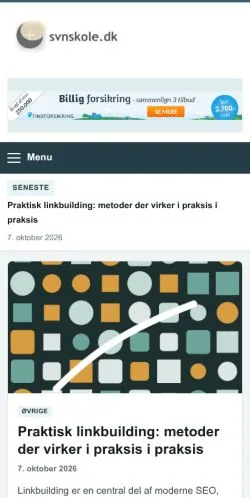 Anteprima del sito Svnskole, referenziato per la pubblicazione di articoli sponsorizzati