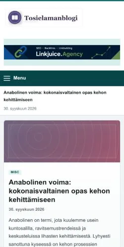 Forhåndsvisning af Tosielaman Blogi, opført til udgivelse af sponsorerede artikler