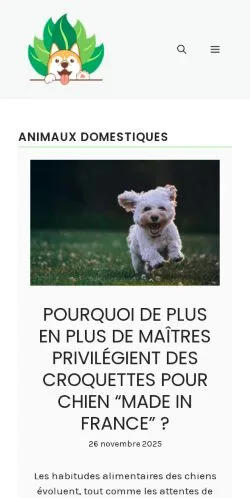 Aperçu du site Grande Galerie Evolution, référencé pour publier un article sponsorisé