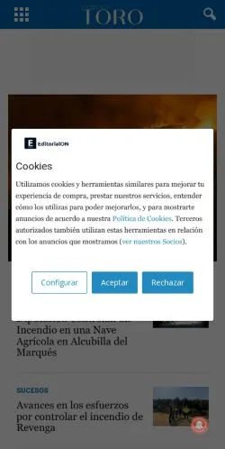 Anteprima del sito noticiastoro.com, referenziato per la pubblicazione di articoli sponsorizzati